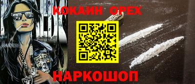 прущие грибы Будённовск