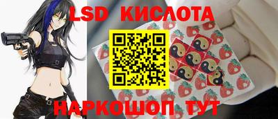 прущие грибы Будённовск
