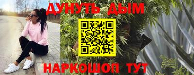 прущие грибы Будённовск