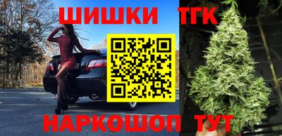 прущие грибы Будённовск