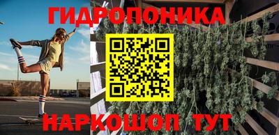 прущие грибы Будённовск