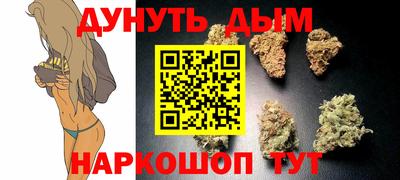 прущие грибы Будённовск