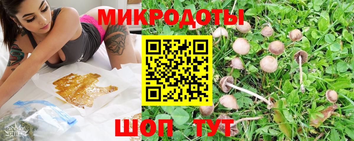 Псилоцибиновые грибы Magic Shrooms Ачхой-Мартан